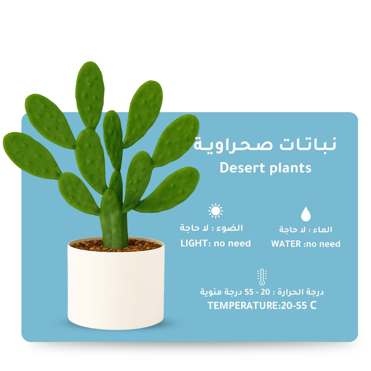قسم النباتات الصحراوية
