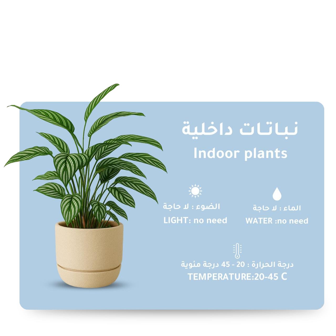 قسم النباتات الداخلية