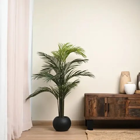 شجرة نخل - 1.5متر