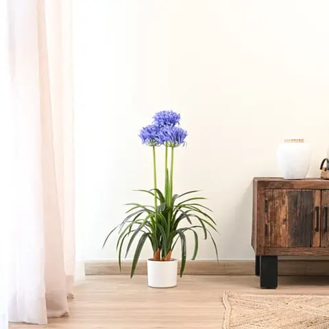 شجرة أجبانثوس صناعية بلون بنفسجي – ارتفاع 80 سم